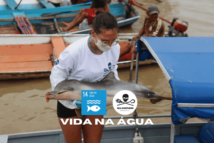 Ajude a Salvar os Botos e Peixes-Boi da Amazônia